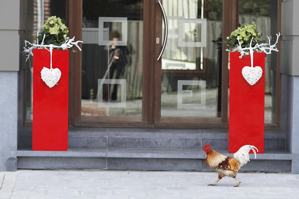 B&B Rouge E Blanc Meulebeke Zewnętrze zdjęcie